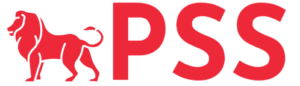 Process Server Singapore