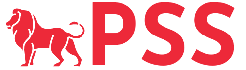 Process Server Singapore
